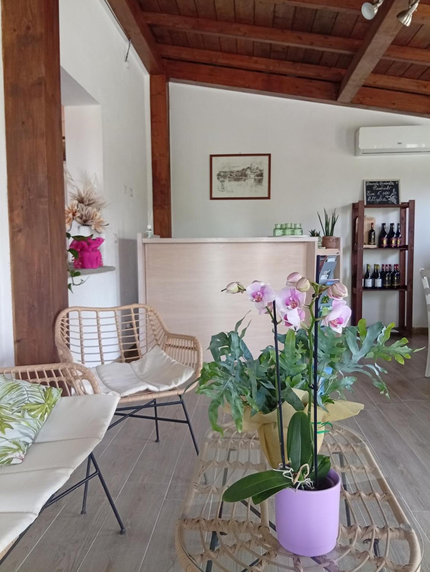Agriturismo Santa Maria Marta Extérieur photo