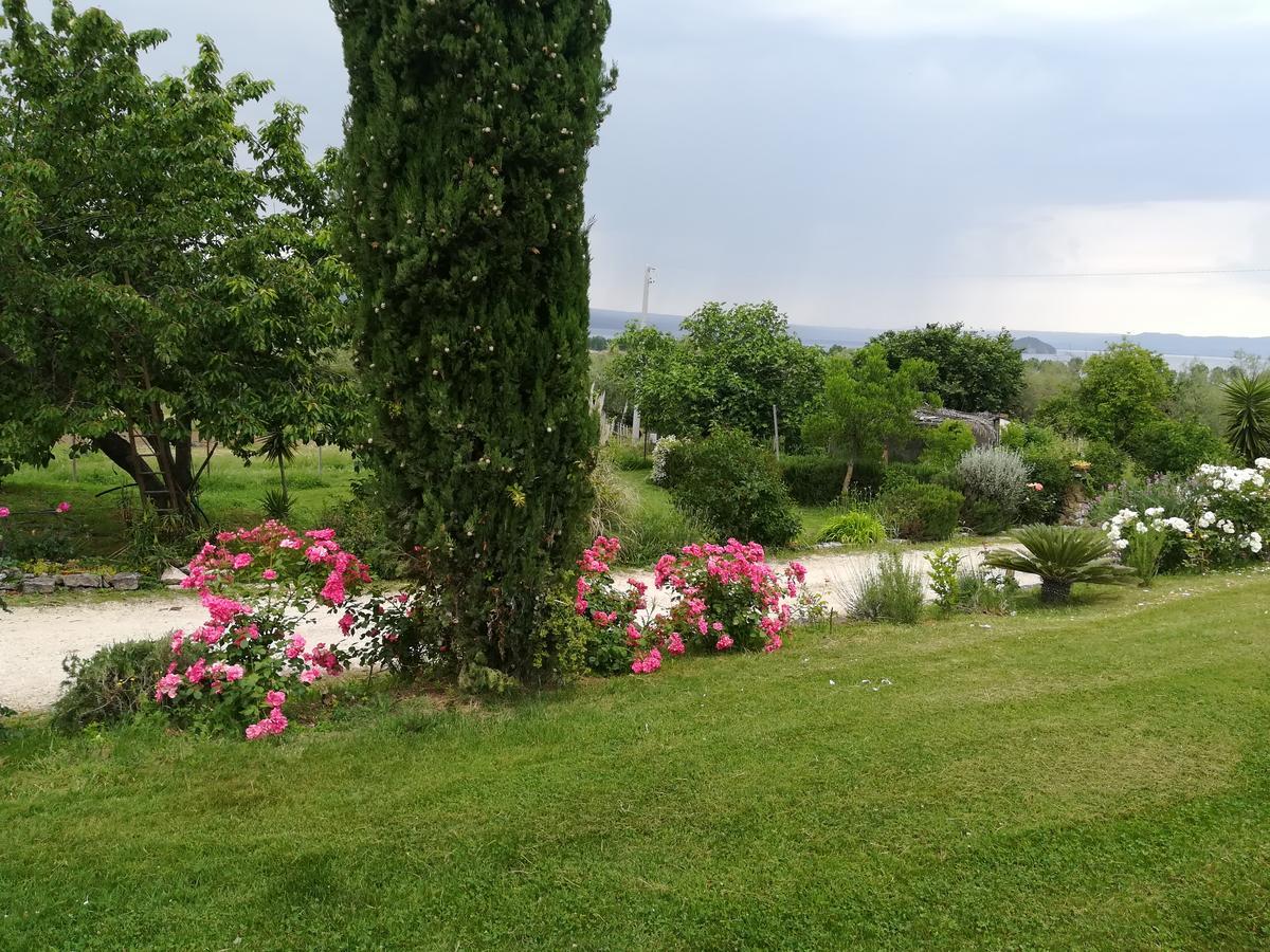 Agriturismo Santa Maria Marta Extérieur photo